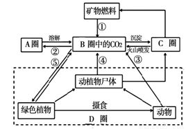 關于河東鹽池“南風一吹，隔宿成鹽”的氣象成因解析