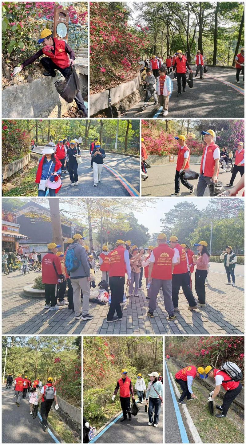惠州中產教育真相:馬術與貝多芬之間,你為孩子選的是天堂還是新賽道?
